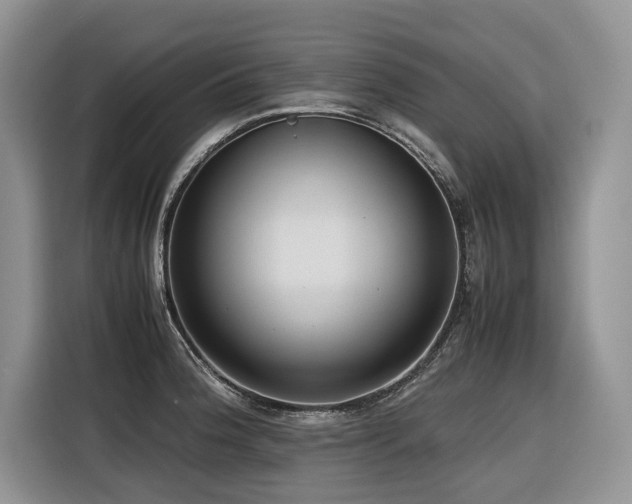 X0000116421188200912081458