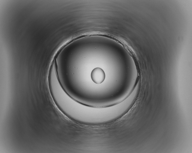 X0000116421189200912081458