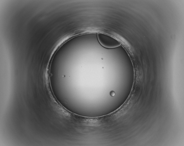 X0000116421190200912081458