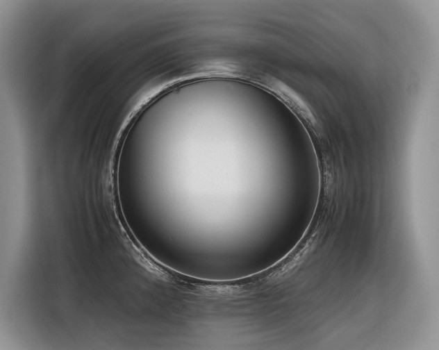 X0000116421192200912081458