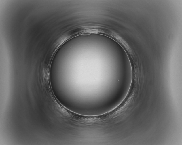 X0000116421193200912081458