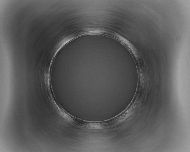 X0000116421194200912081458