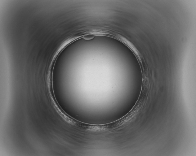 X0000116421195200912081458
