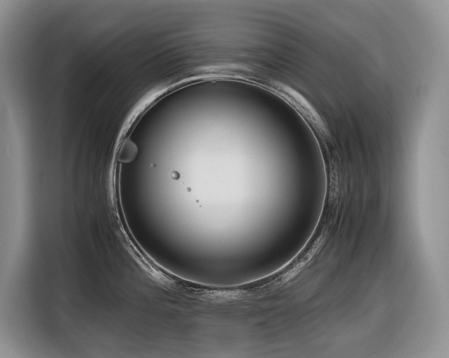 X0000116421196200912081458