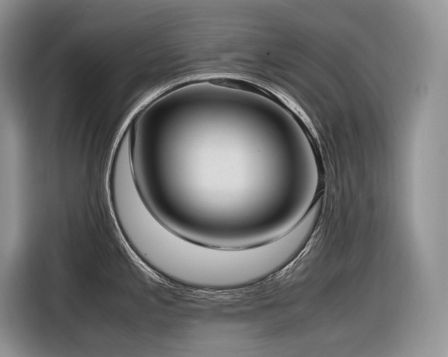 X0000116421197200912081458