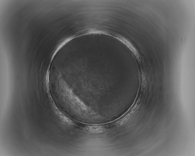 X0000116421198200912081458