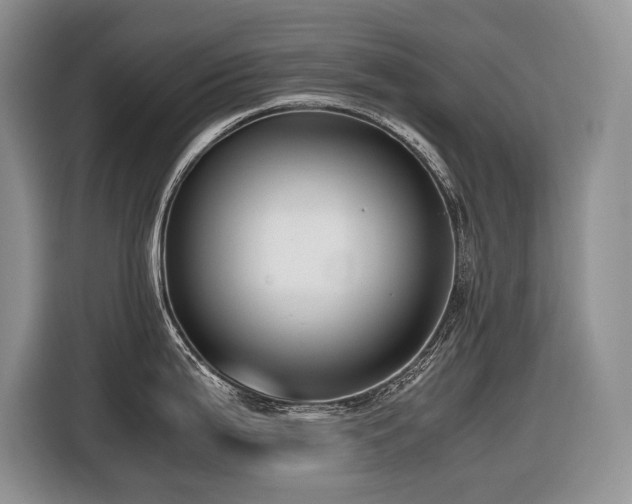 X0000116421199200912081458