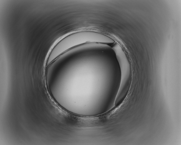 X0000116421200200912081458