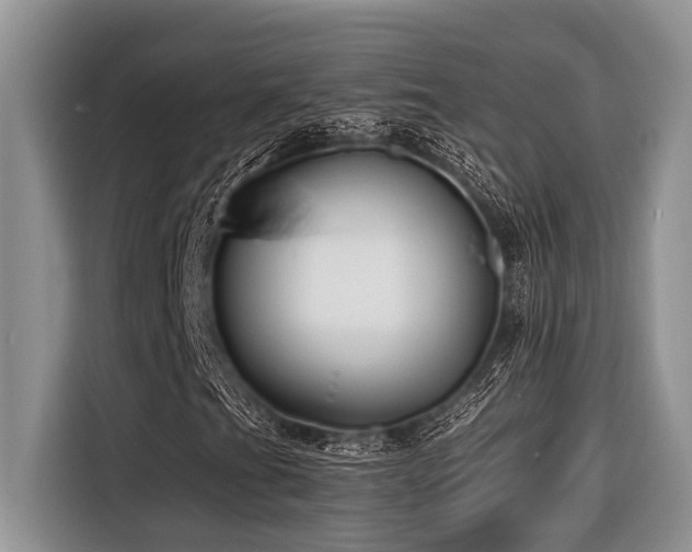 X0000116421201200912081457