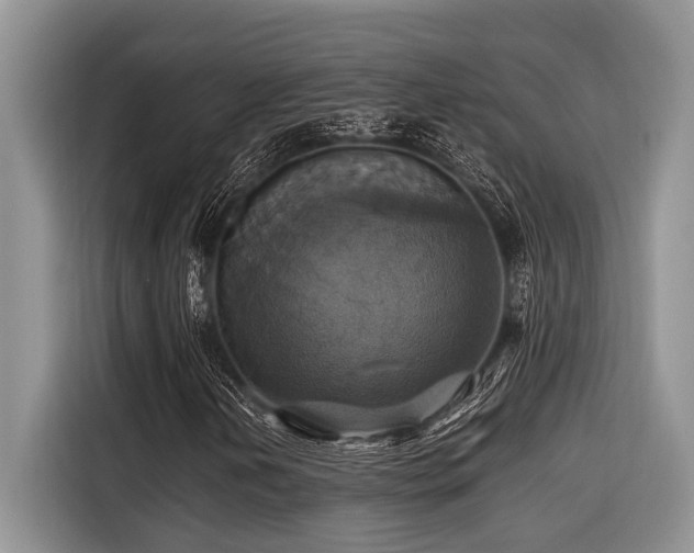 X0000116421202200912081457