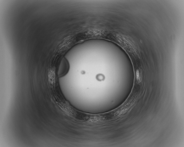X0000116421203200912081457