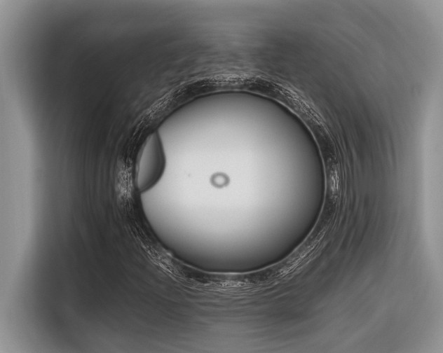X0000116421204200912081457