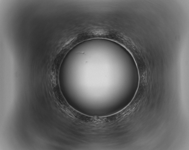 X0000116421205200912081457