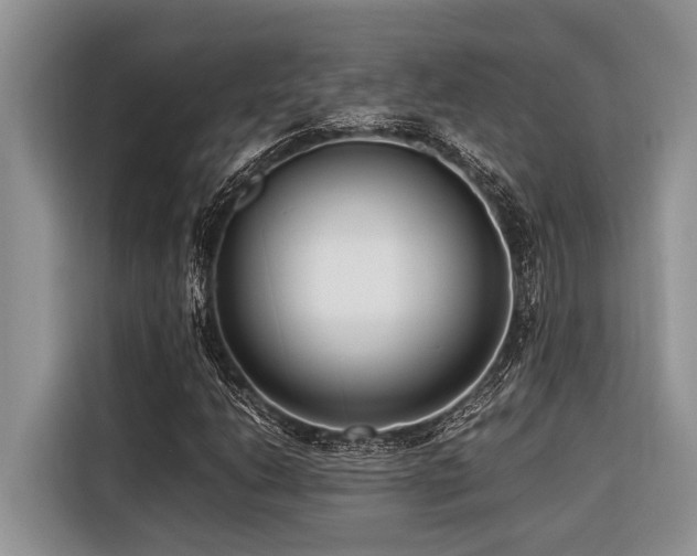 X0000116421206200912081457