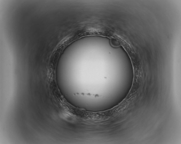 X0000116421207200912081457