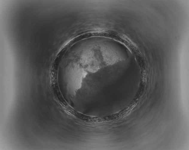X0000116421208200912081457