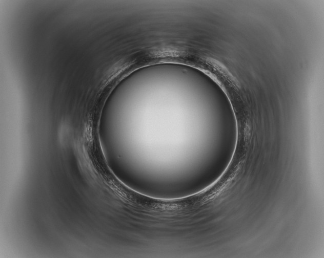 X0000116421209200912081457