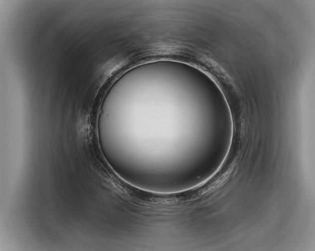 X0000116421210200912081457