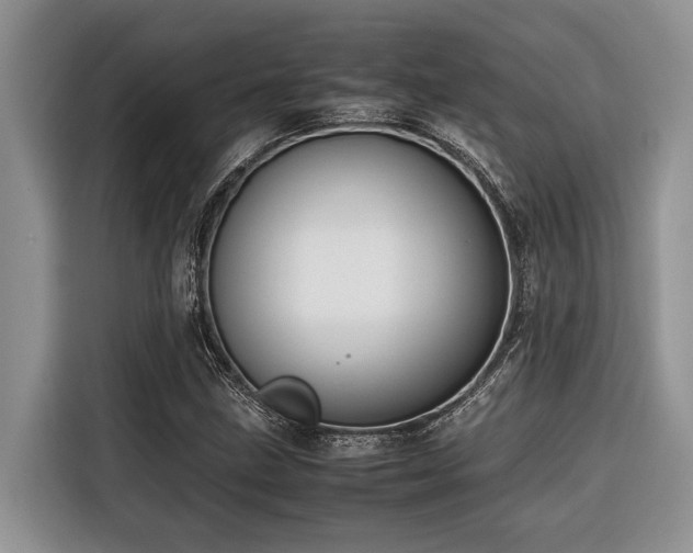 X0000116421211200912081457
