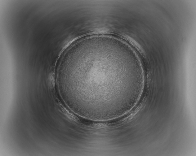 X0000116421212200912081457