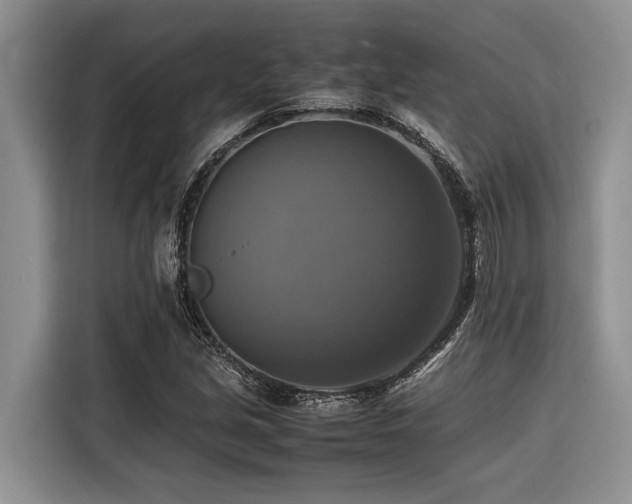 X0000116421213200912081457