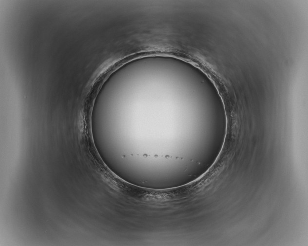 X0000116421215200912081457