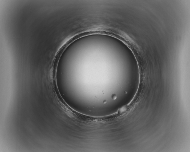 X0000116421216200912081457