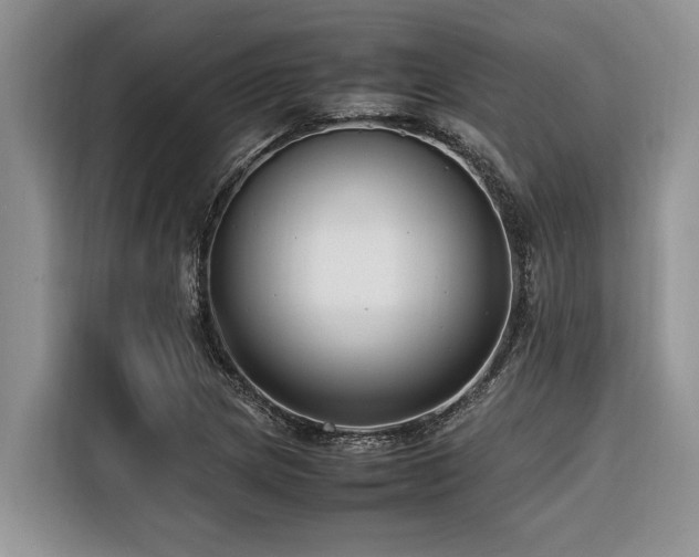 X0000116421217200912081457