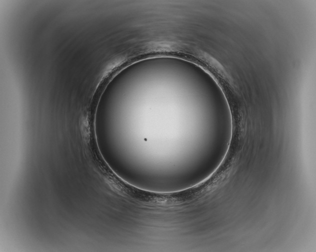 X0000116421218200912081457