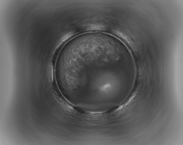 X0000116421219200912081457