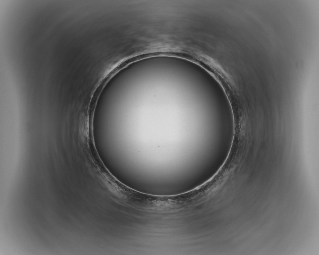 X0000116421220200912081457