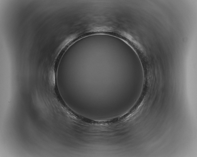 X0000116421221200912081457