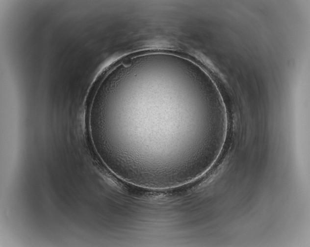 X0000116421222200912081457