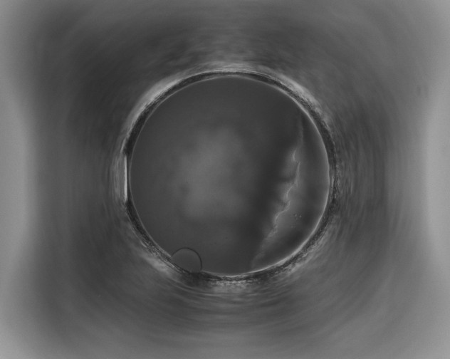 X0000116421223200912081457
