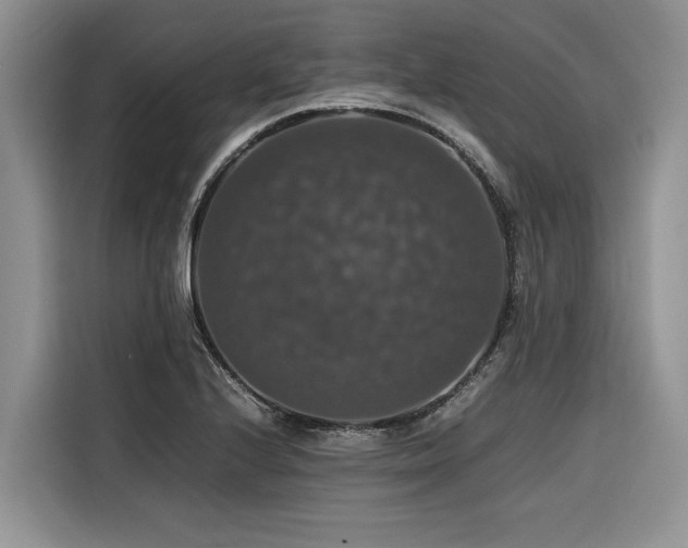 X0000116421224200912081457