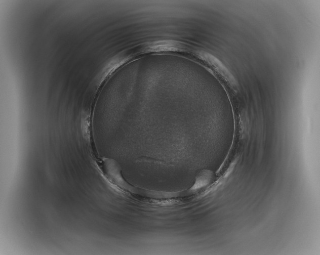 X0000116421225200912081457
