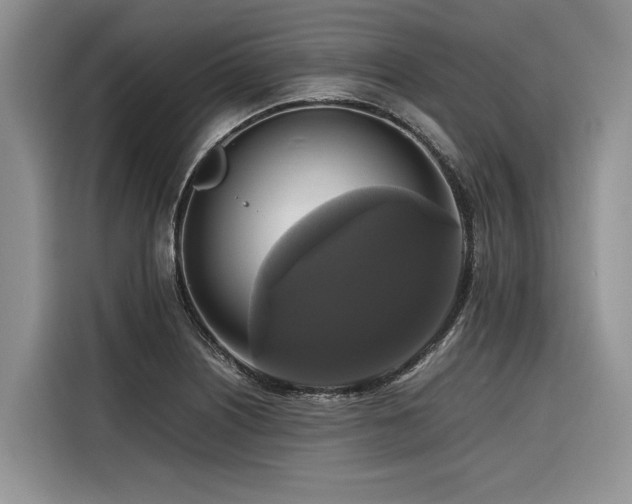 X0000116421226200912081457