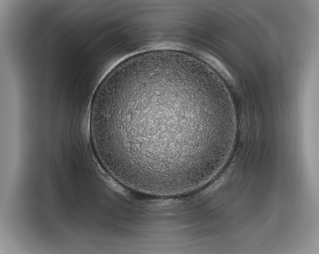 X0000116421228200912081457