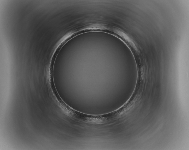 X0000116421229200912081457