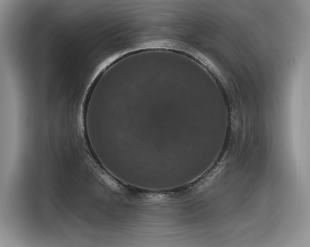 X0000116421230200912081457