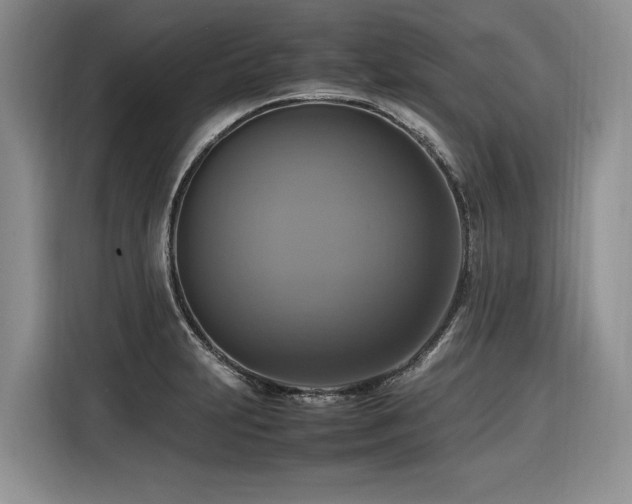 X0000116421231200912081457
