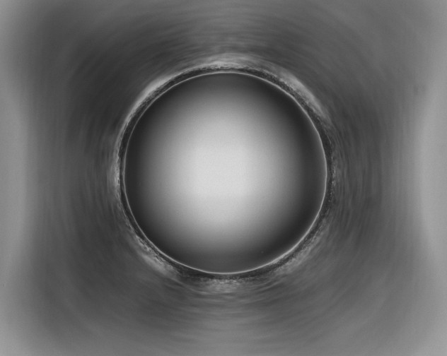 X0000116421232200912081457
