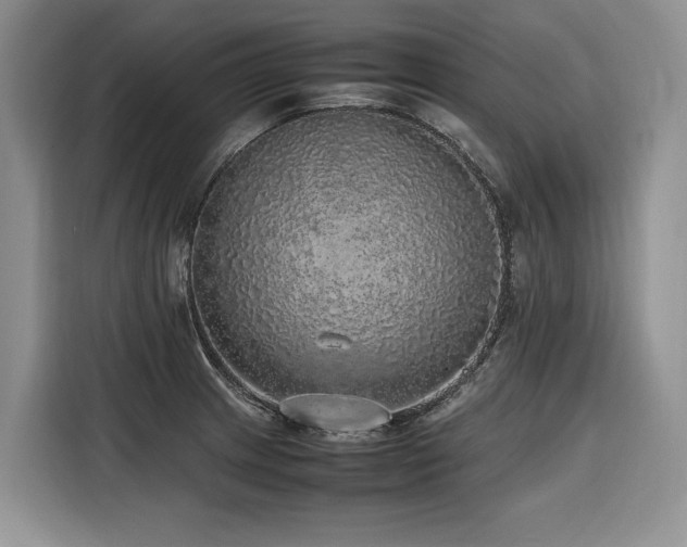 X0000116421233200912081457