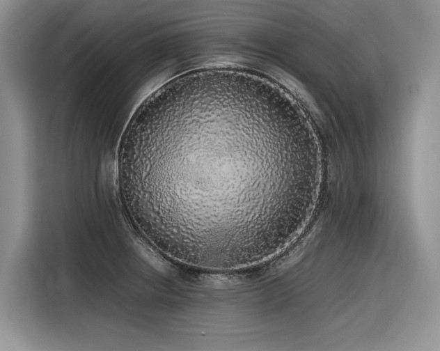 X0000116421234200912081457