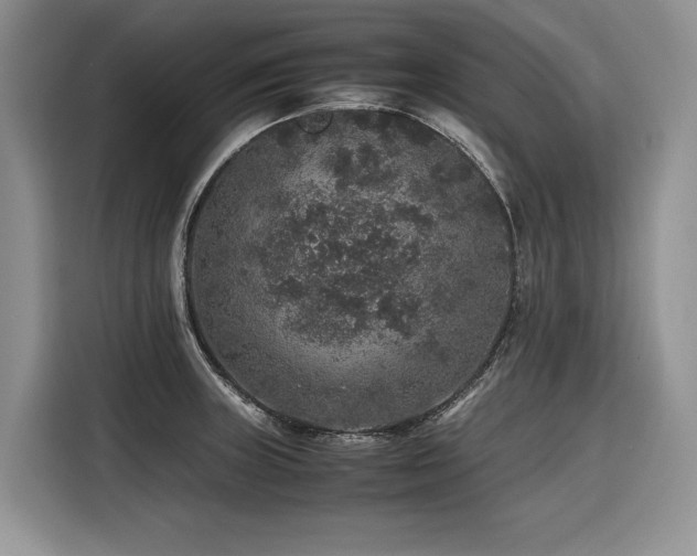 X0000116421235200912081457