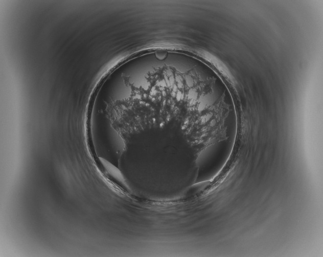 X0000116421237200912081457