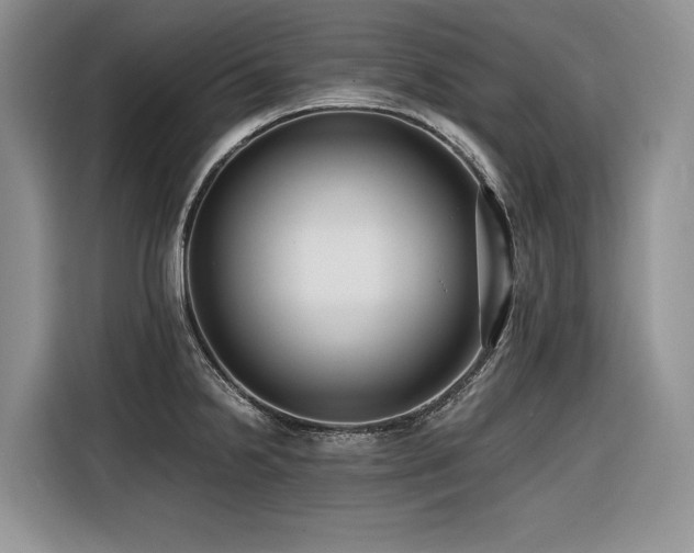 X0000116421238200912081457