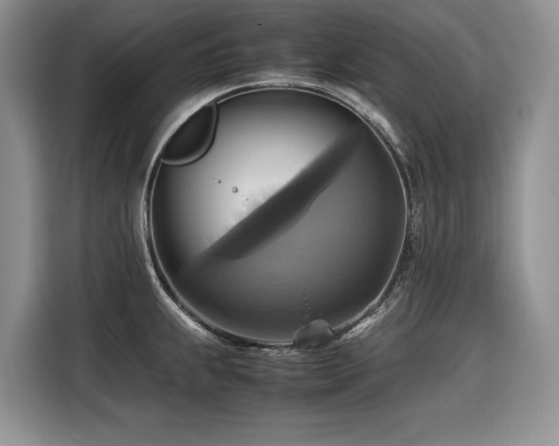 X0000116421239200912081457