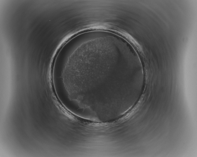 X0000116421240200912081457