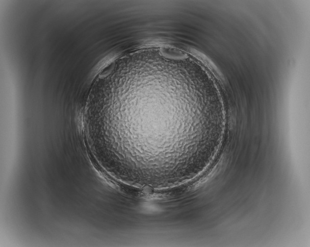 X0000116421241200912081457